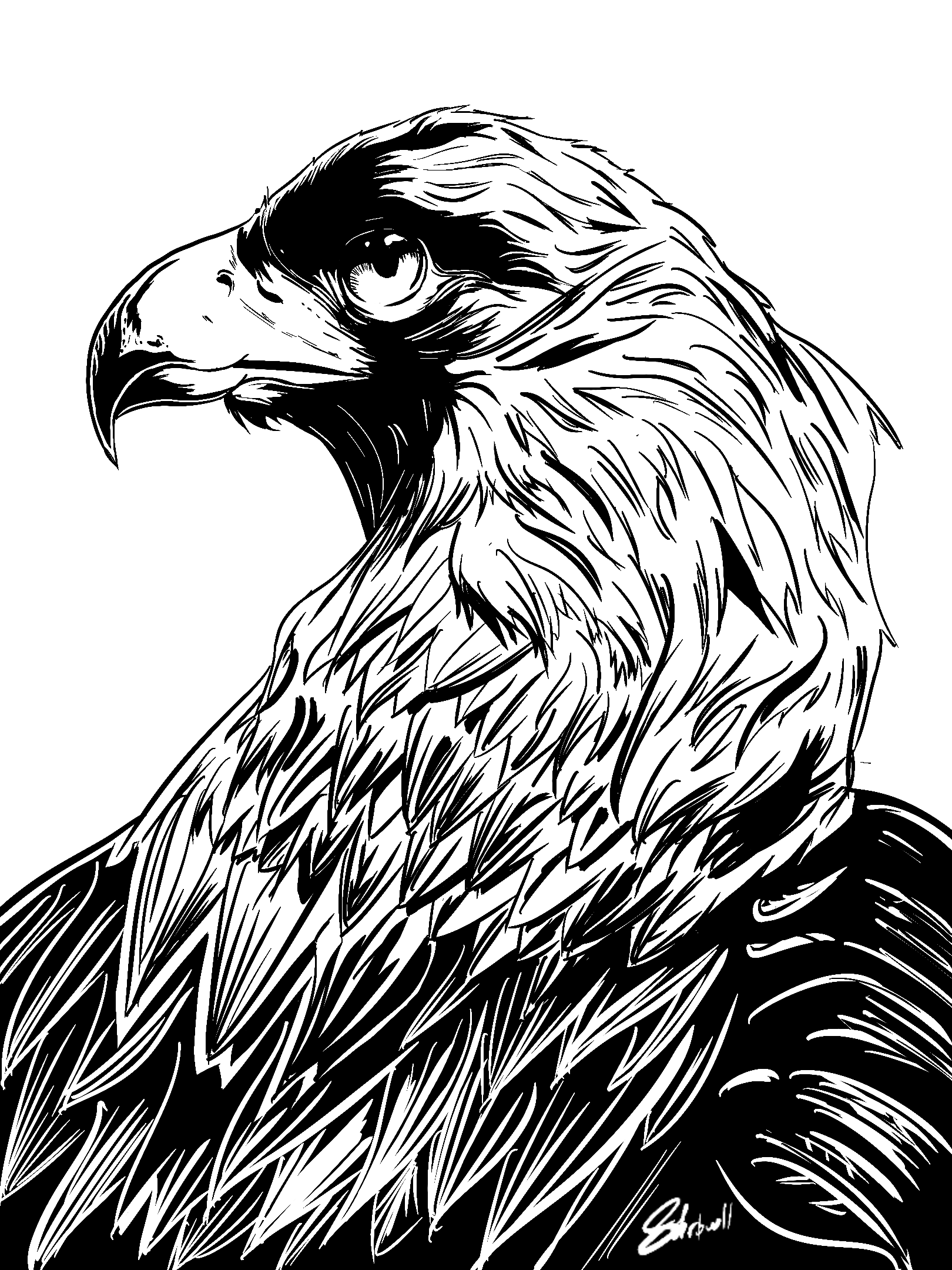 Cold Eagle